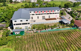 葛韵承初心：一株作物里的乡村振兴密码