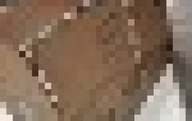 合生元派星真实评价